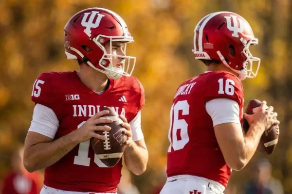 fernando mendoza brother