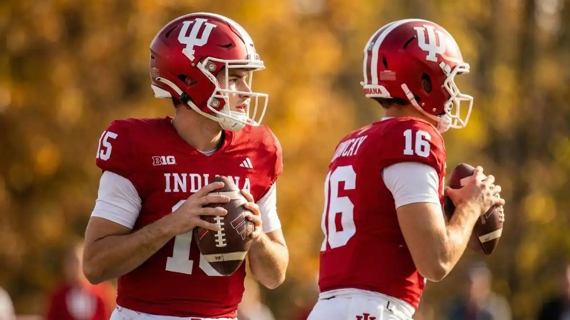 fernando mendoza brother