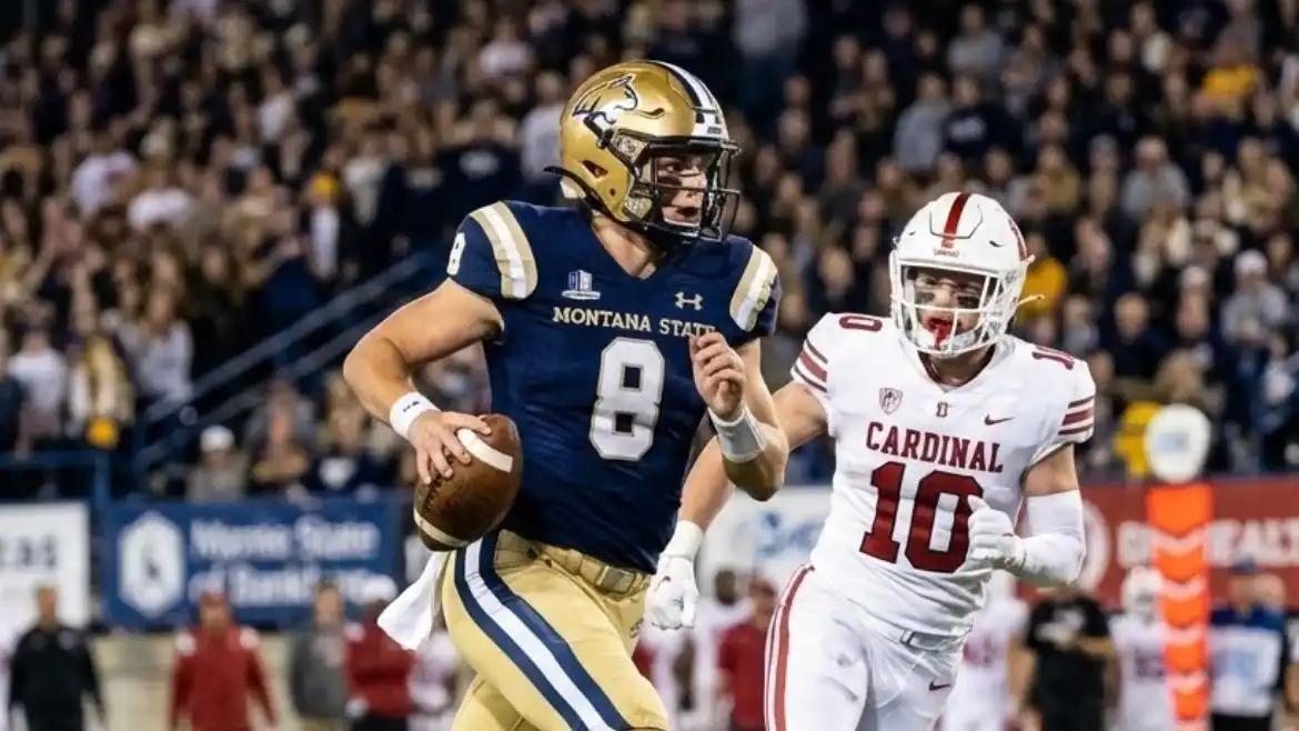 montana state football