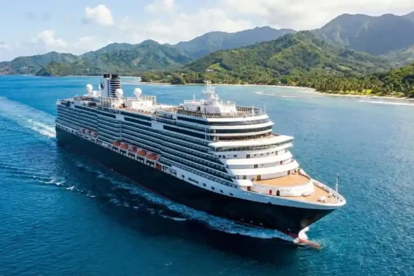 passenger overboard cruise ship