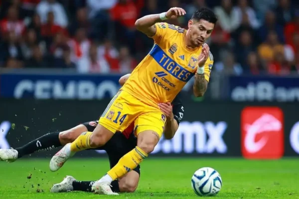 león tigres