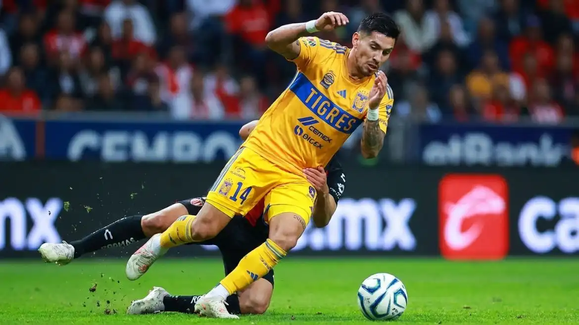 león tigres